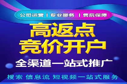 百度推广返点策略：案例解析与优化